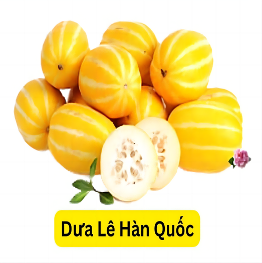 Đặt hàng trước - dưa lê Hàn Quốc(1 cái khoảng 300g )